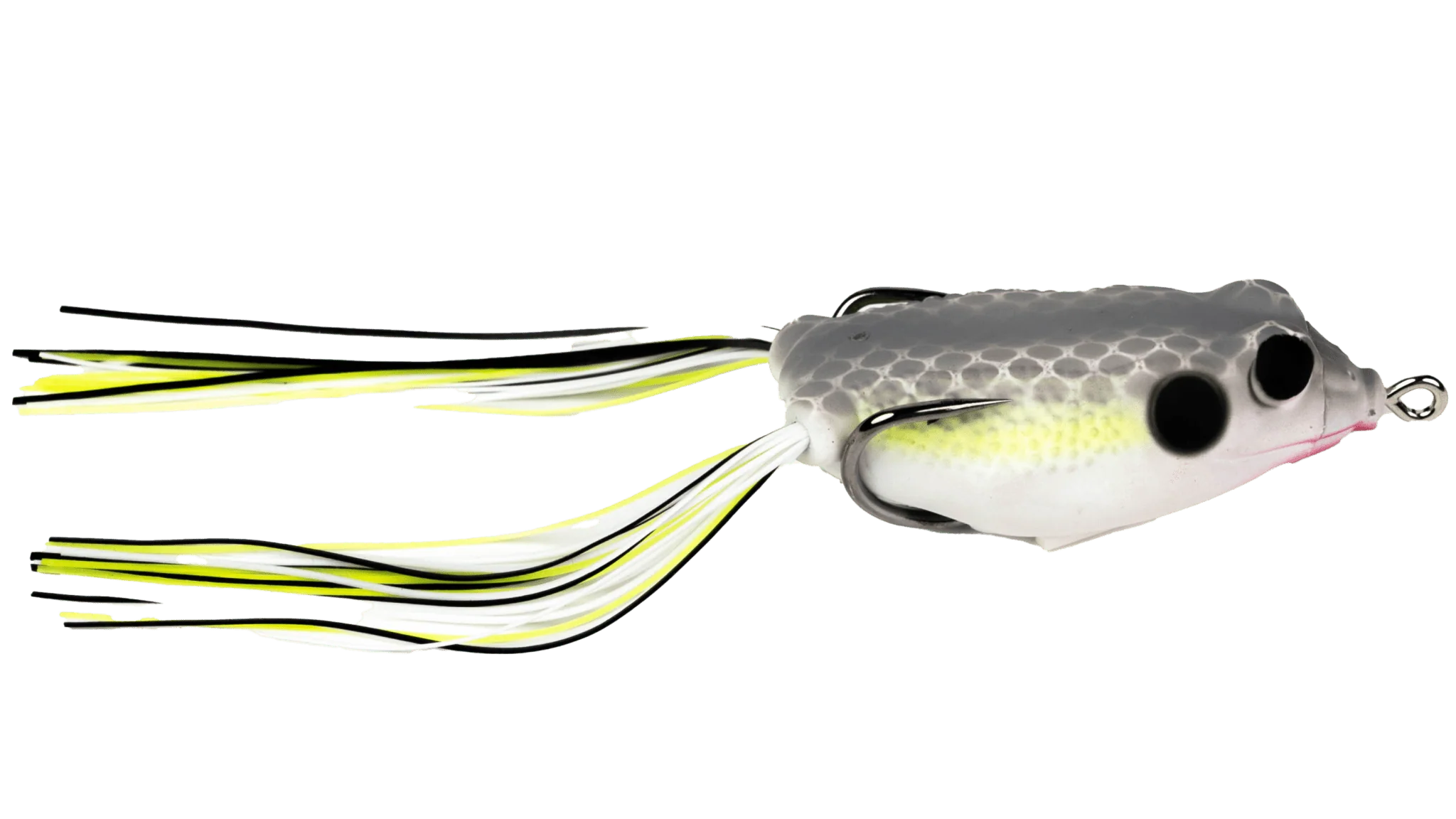 G-Ratt Con Frog - Image 3